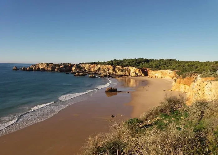 Alcaide Портіман