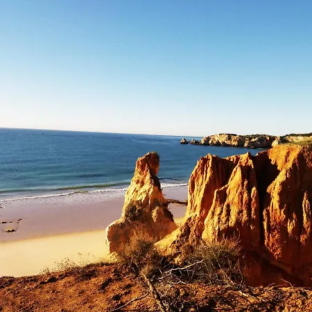 Alcaide Готель типу 