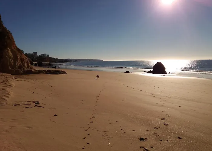 Bed & Breakfast Alcaide