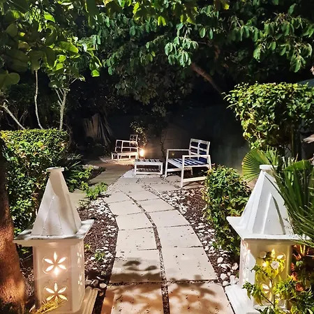 ベッド・アンド・ブレックファスト Alcaide ポルティマン