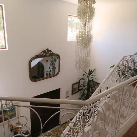 Alcaide ポルティマン